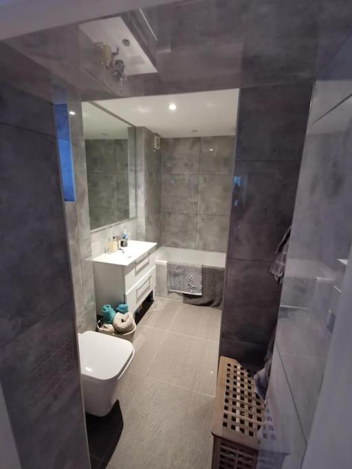 Entire Apartment Alexandra Palace, لندن المظهر الخارجي الصورة